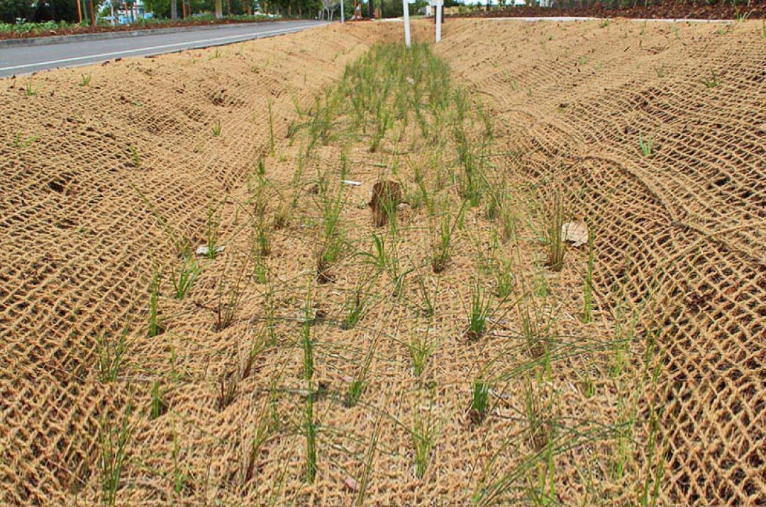 Green earth geotextiles erosion control blanket, woven geotextile, coir ...