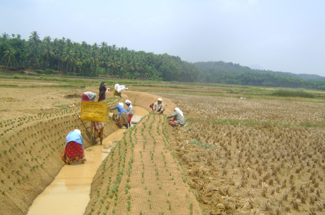 Green earth geotextiles erosion control blanket, woven geotextile, coir ...